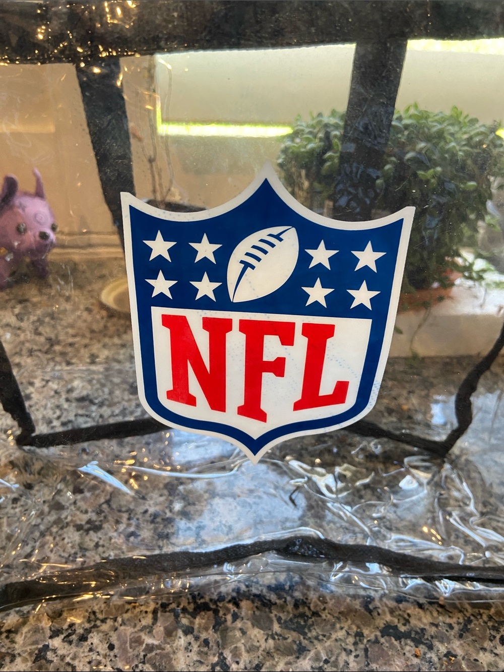 NFL Clear Stadium Bag NWT